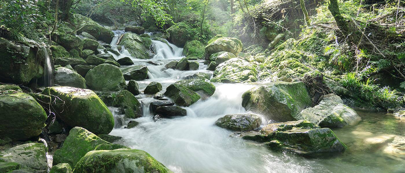 有限会社 不動衛生サービス